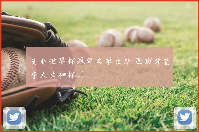 南非世界杯冠军名单出炉 西班牙首夺大力神杯_1