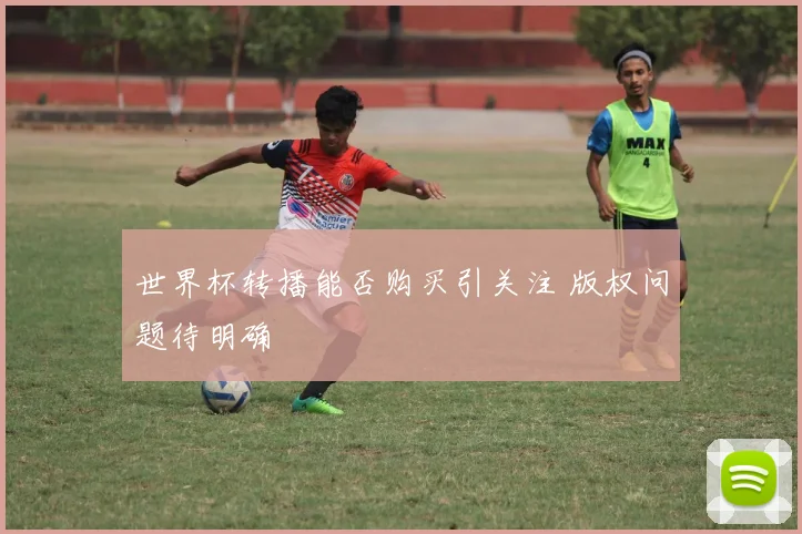世界杯转播能否购买引关注 版权问题待明确