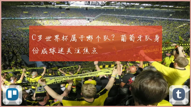 C罗世界杯属于哪个队？葡萄牙队身份成球迷关注焦点