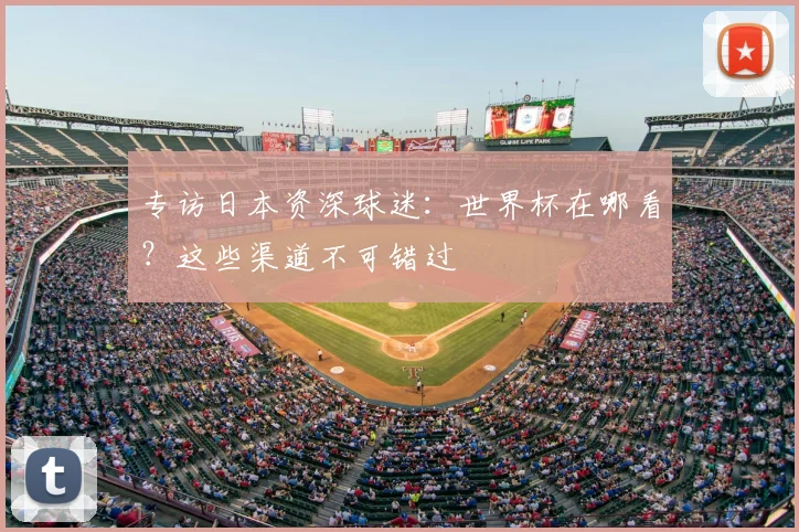 专访日本资深球迷：世界杯在哪看？这些渠道不可错过