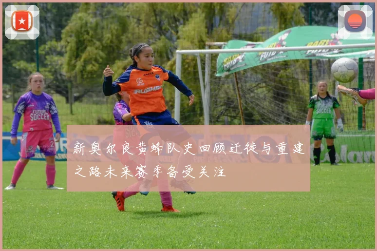新奥尔良黄蜂队史回顾迁徙与重建之路未来赛季备受关注