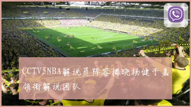 CCTV5NBA解说员阵容揭晓杨健于嘉领衔解说团队
